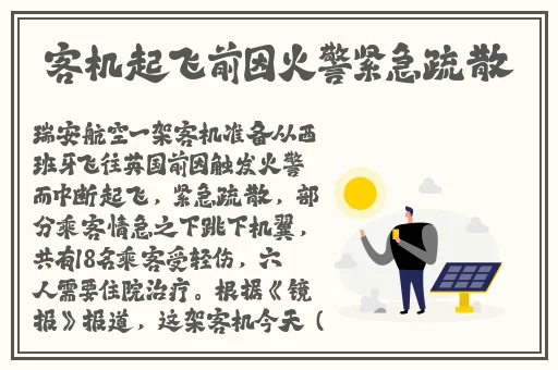 金花瓶楷梅花1玉女心