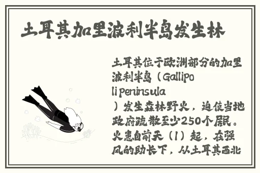 a国精产品区